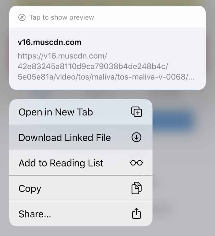 download video clips for mac